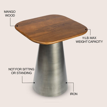Skye 18" Modern Rustic Wood/Metal Accent Table